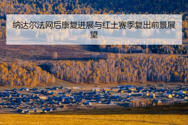 na-da-er-fa-wang-hou-kang-fu-jin-zhan-yu-hong-tu-sai-ji-fu-chu-qian-jing-zhan-wang-2-126.jpg