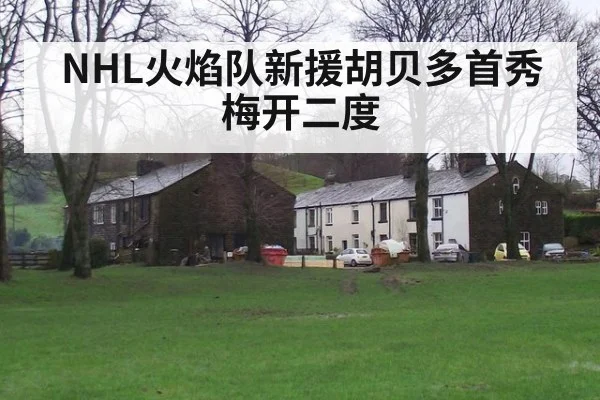 NHL火焰队新援胡贝多首秀梅开二度